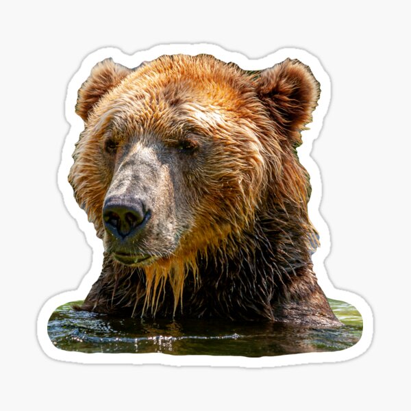 Item preview, Bear Bath time designed and sold by OwlOccasions.