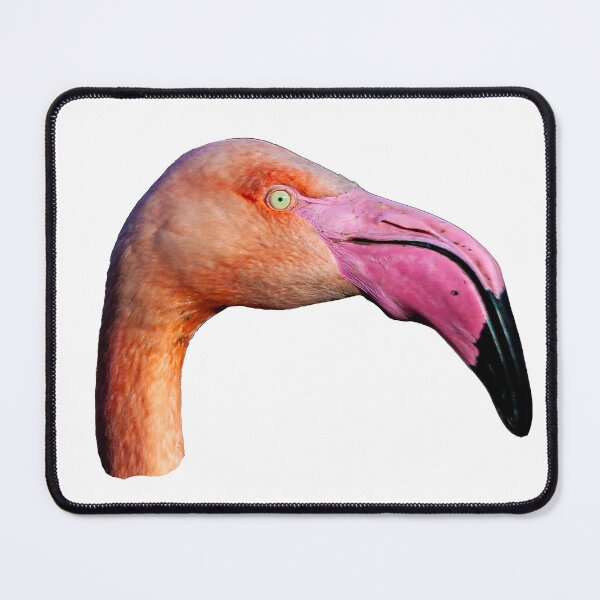 Item preview,  Caribbean Flamingo head designed and sold by Dalyndigital Photography.