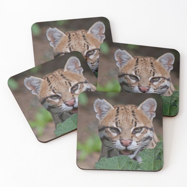 Item preview, Shy Ocelot designed and sold by Krys Bailey.