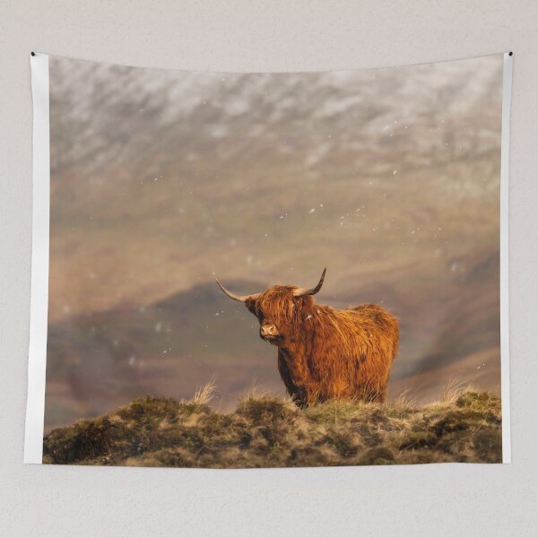 Item preview, A Ginger Highland Cow in Winter Wonderland designed and sold by TMcG72.