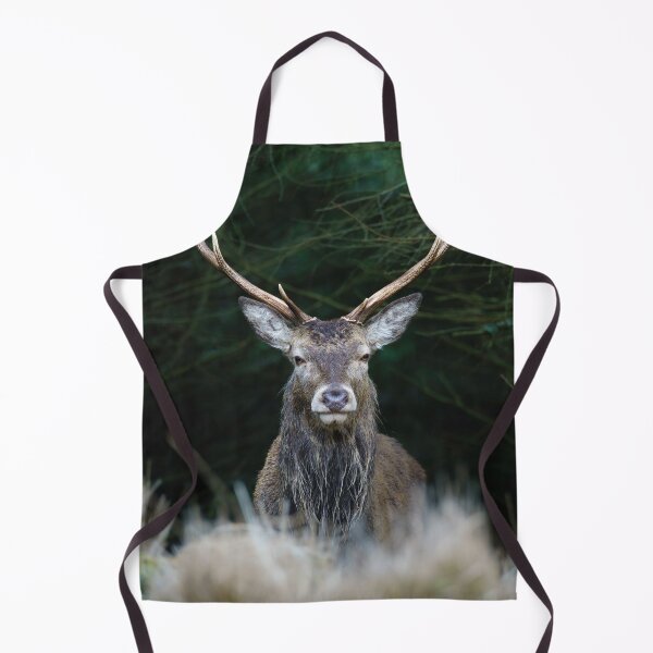 Item preview, Highland Stag  designed and sold by TMcG72.