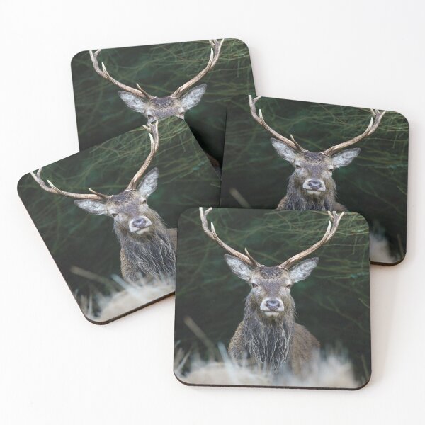 Item preview, Highland Stag  designed and sold by TMcG72.