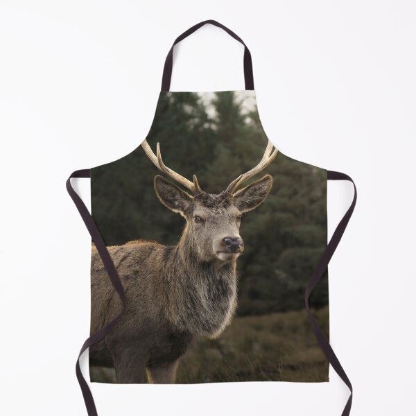 Item preview, Sunlight Deer  designed and sold by TMcG72.