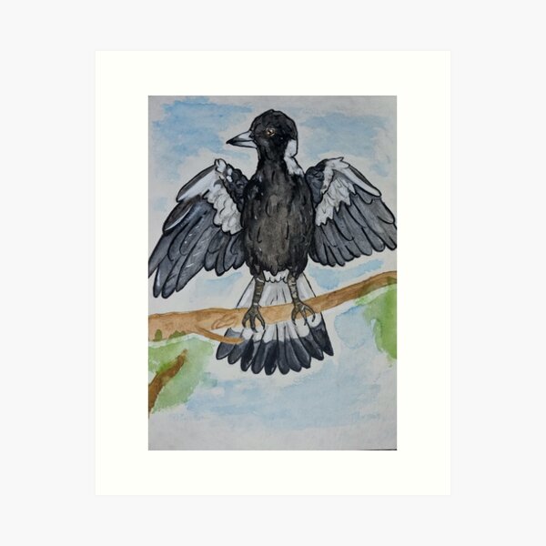 Item preview, Australian Magpie (Gymnorhina tibicen) Watercolour designed and sold by actual-lizard.