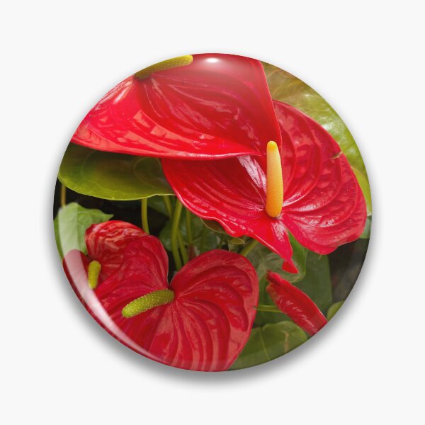 Item preview, Lush anthurium plant designed and sold by Ponted.