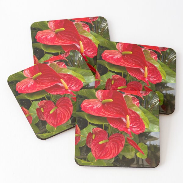 Item preview, Lush anthurium plant designed and sold by Ponted.