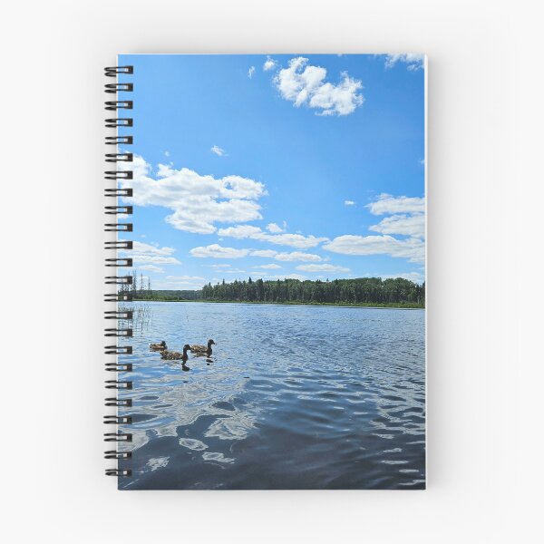 Item preview, Ducks on a Lake designed and sold by ARiverD.