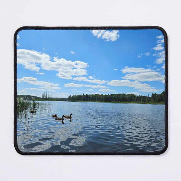 Item preview, Ducks on a Lake designed and sold by ARiverD.