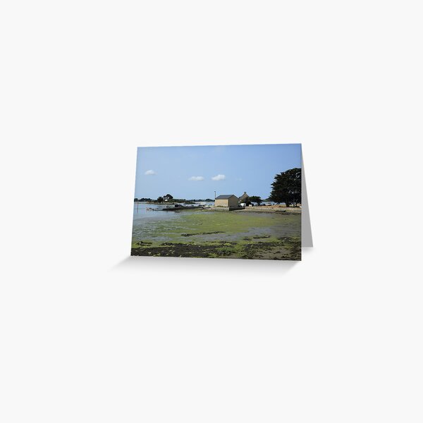 www.lizgarnett.com ... Passage de Saint Armel, Golfe du Morbihan, Brittany, France Greeting Card