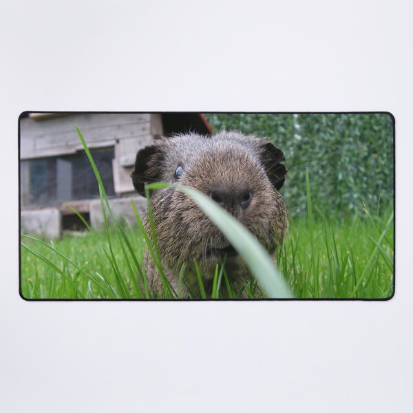 Item preview, Cute guinea pig designed and sold by Aurealis Creatief.