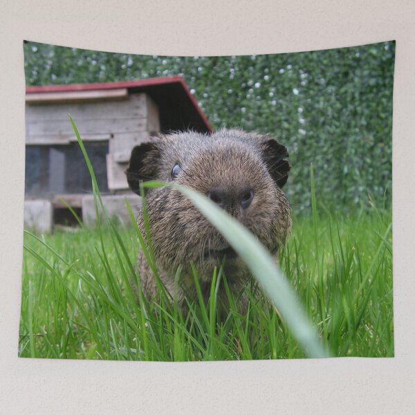 Item preview, Cute guinea pig designed and sold by Aurealis Creatief.
