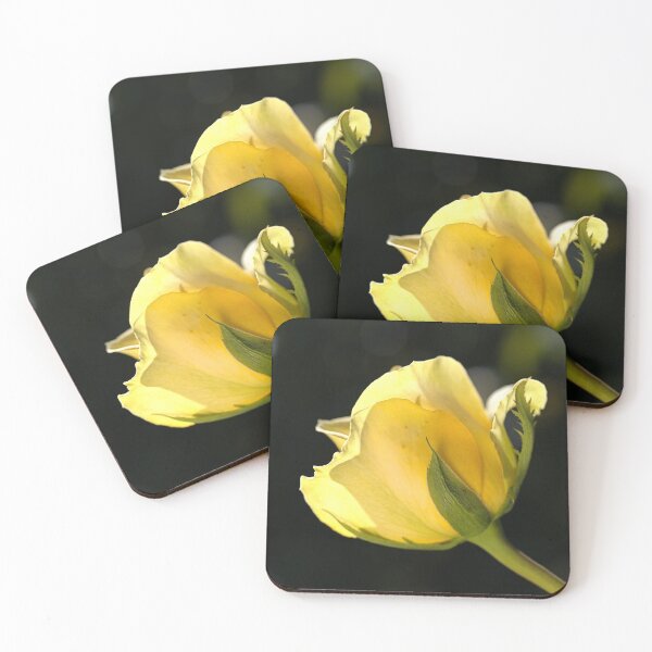Item preview, Rose Of Golden Glow designed and sold by Joy Watson - Natural Light Photography .