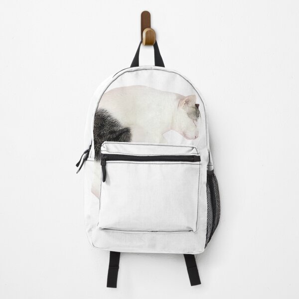 Item preview, Cat sleep white color designed and sold by ipuyida1.