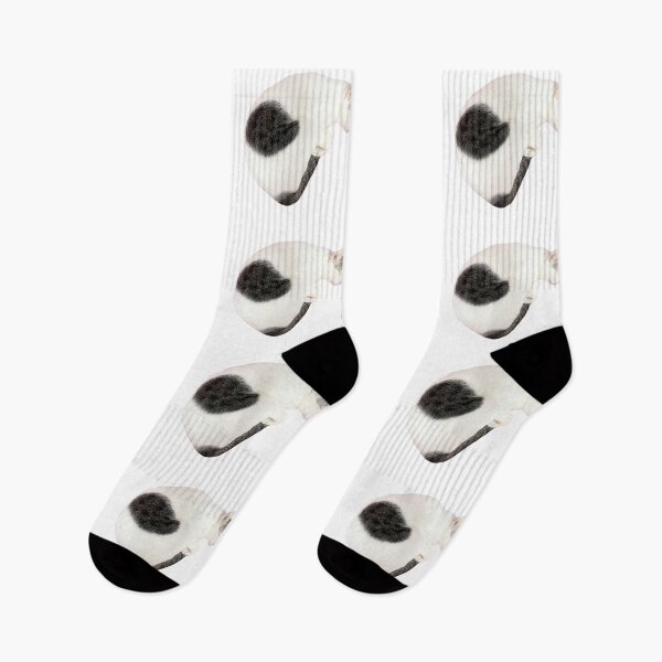 Item preview, Cat sleep white color designed and sold by ipuyida1.