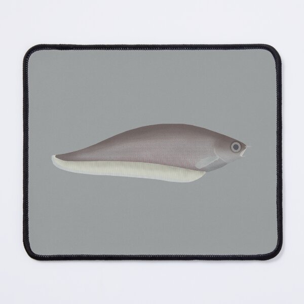 Item preview, African Knifefish designed and sold by fishfolkart.