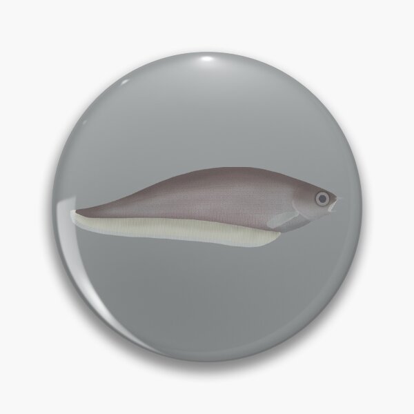 Item preview, African Knifefish designed and sold by fishfolkart.