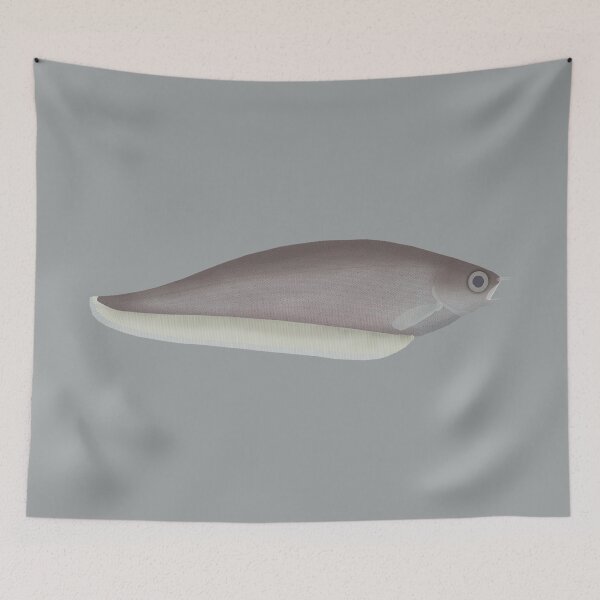 Item preview, African Knifefish designed and sold by fishfolkart.