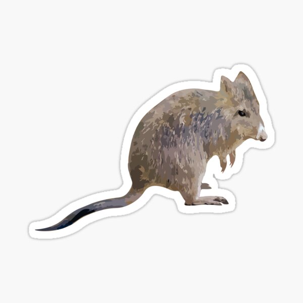 Item preview, Potoroo designed and sold by Racheltmason.