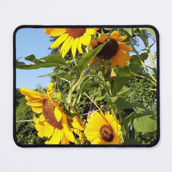 Item preview, Group Shot designed and sold by Shellie Bruner.