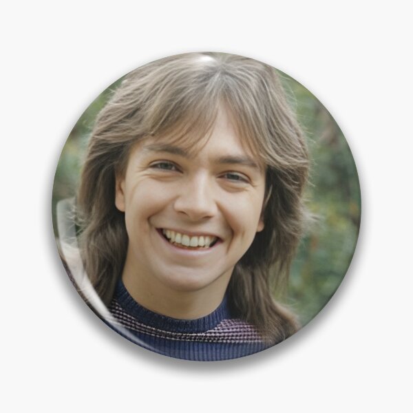 Item preview, david cassidy cute smile designed and sold by warshipologiste.