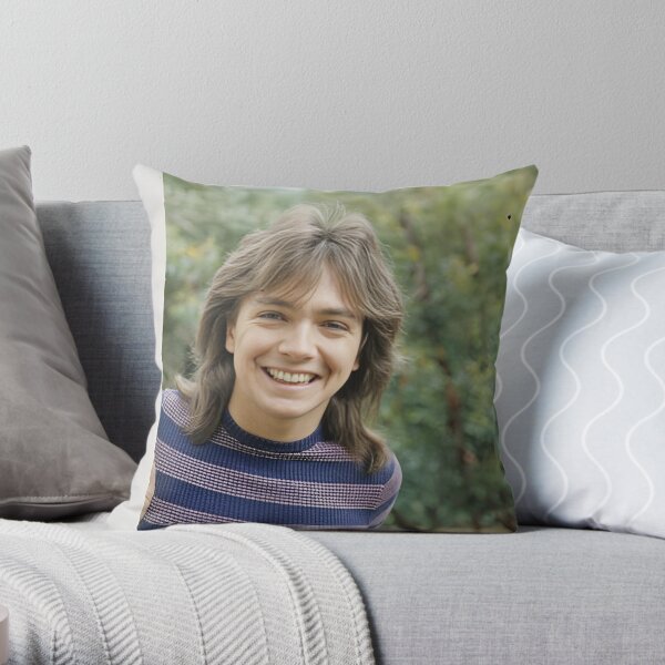 Celebrity home throw outlet pillows