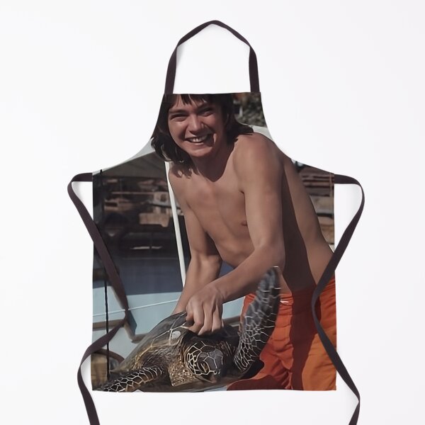 Artikelvorschau, David Cassidy Klassiker entworfen und verkauft von warshipologiste.