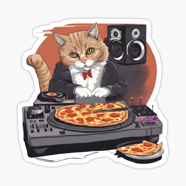 Funny Dj Pizza Cat Hoodie – D&F Clothing