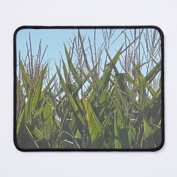 Item preview, Corn 2 designed and sold by Abeink1030.