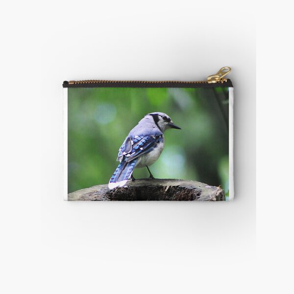 Item preview, Stumped Bluejay designed and sold by Alyce Taylor.