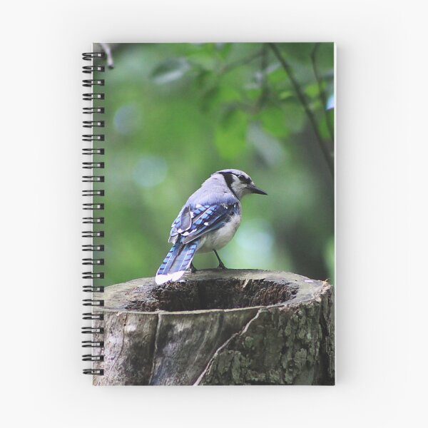 Item preview, Stumped Bluejay designed and sold by Alyce Taylor.