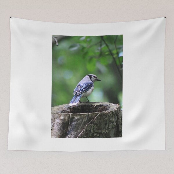Item preview, Stumped Bluejay designed and sold by Alyce Taylor.