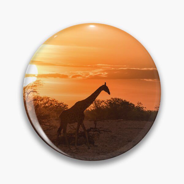 Item preview, Silhouette of a Giraffe at Sunset at Okaukuejo In Etosha National Park designed and sold by Belinda Greb Photography.