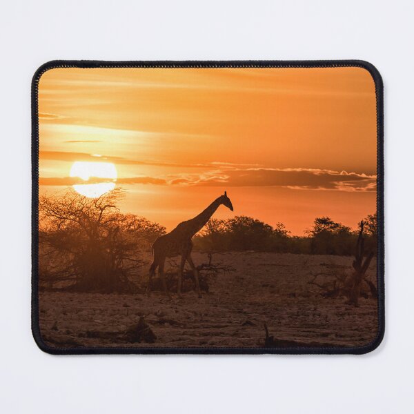 Item preview, Silhouette of a Giraffe at Sunset at Okaukuejo In Etosha National Park designed and sold by Belinda Greb Photography.