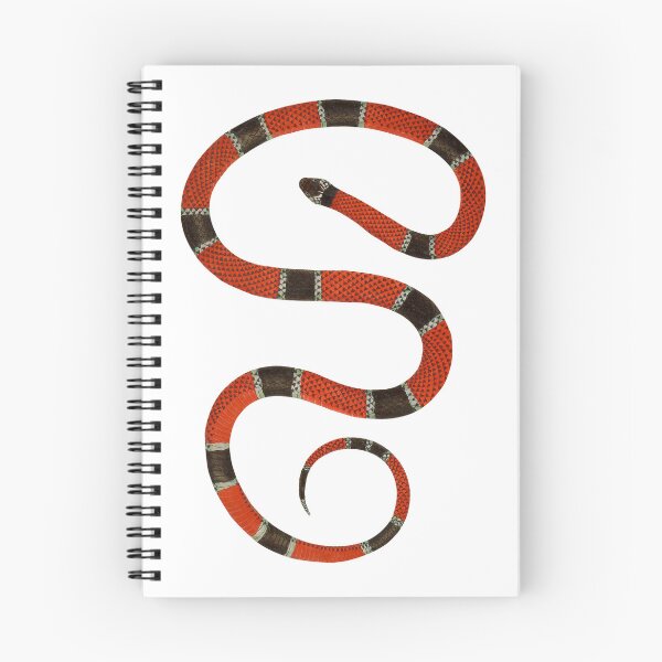 Item preview, Vintage Coral Snake Illustration designed and sold by StrangeCritters.
