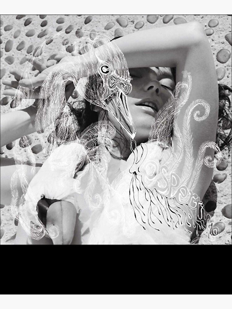 ビョーク ポスター Vespertine Bjork