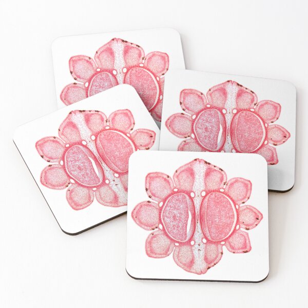 Item preview, Fool's parsley (Aethusa cynapium) designed and sold by EllieJ00.