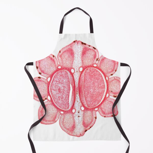 Item preview, Fool's parsley (Aethusa cynapium) designed and sold by EllieJ00.