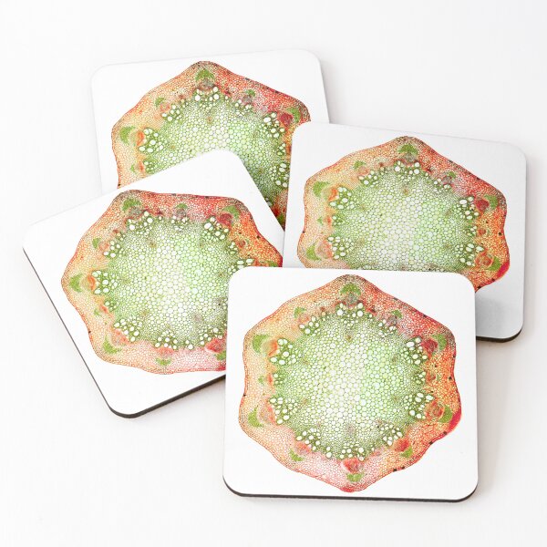 Item preview, Charan, Tea Orchid (Chloranthus inconspicuus) designed and sold by EllieJ00.