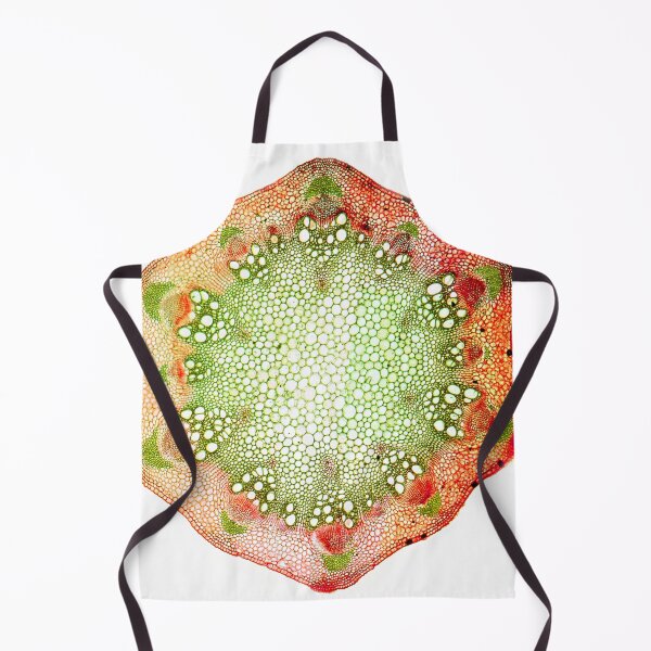 Item preview, Charan, Tea Orchid (Chloranthus inconspicuus) designed and sold by EllieJ00.