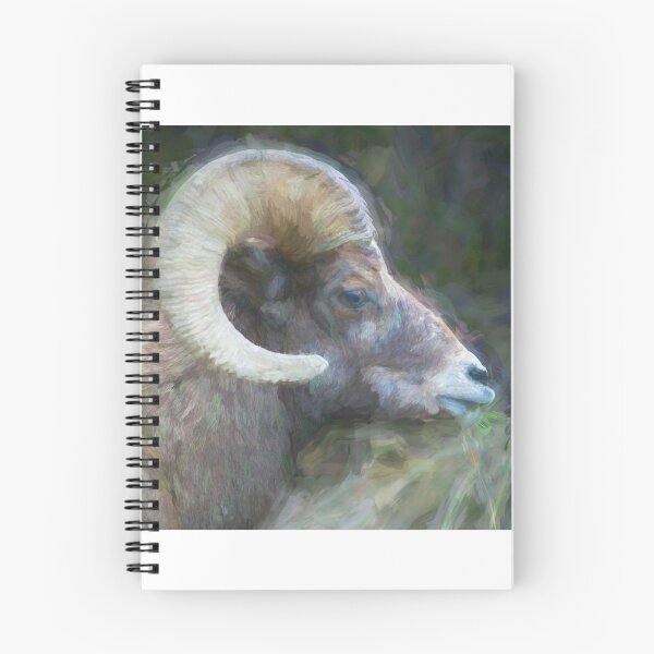 Item preview, Rocky Mountain Bighorn Sheep X100 designed and sold by RichFrancoCars.
