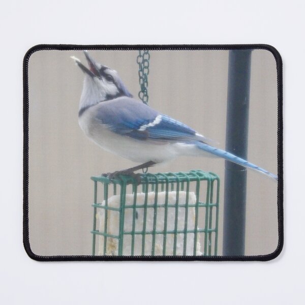 Item preview, Blue Jay in PA designed and sold by Kimberly Scott.