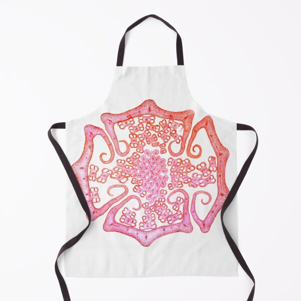 Item preview, Clematis (Clematis japonica) designed and sold by EllieJ00.