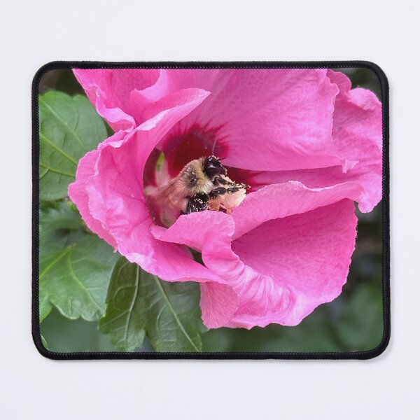 Item preview, Bee in pinks flower designed and sold by youronlyhope.