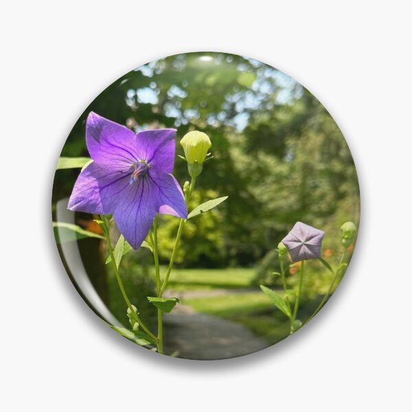 Item preview, Balloon flower designed and sold by youronlyhope.