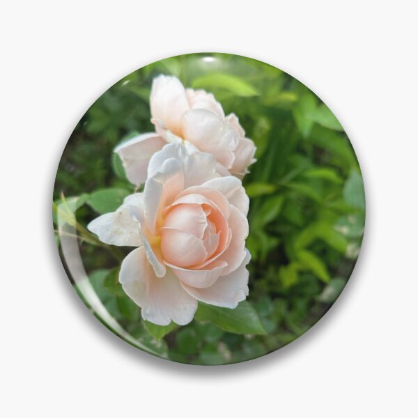 Item preview, Peach rose designed and sold by youronlyhope.