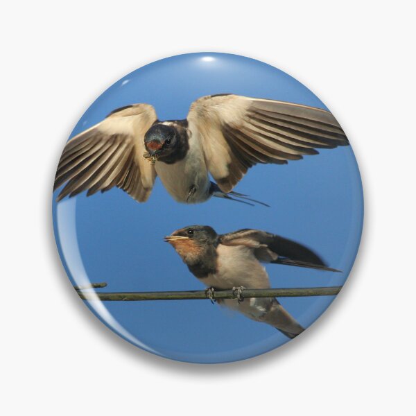 Item preview, Golondrina alimentación joven designed and sold by AnthonyThomas.