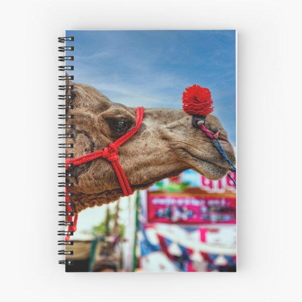 Item preview, A Camel At the Camel Fair designed and sold by Kay Brewer.