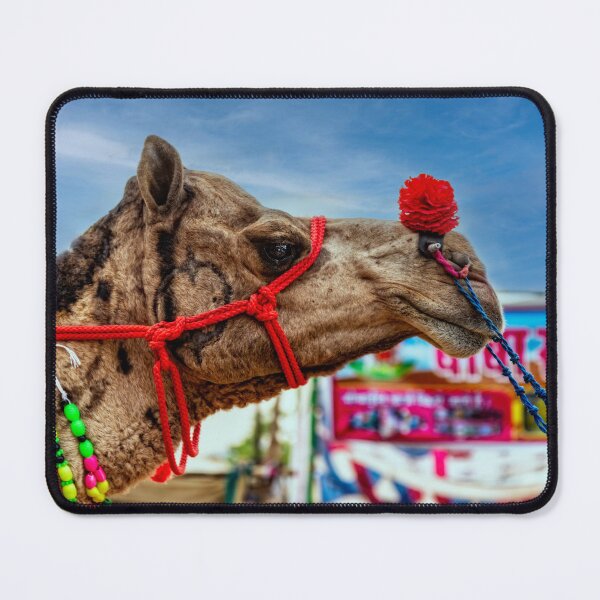 Item preview, A Camel At the Camel Fair designed and sold by Kay Brewer.