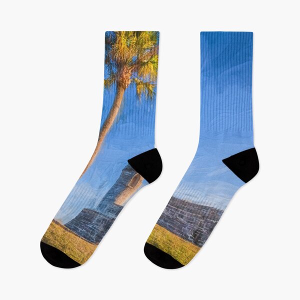 Item preview, Castillo De San Marcos St Augustine Florida X100 designed and sold by RichFrancoCars.