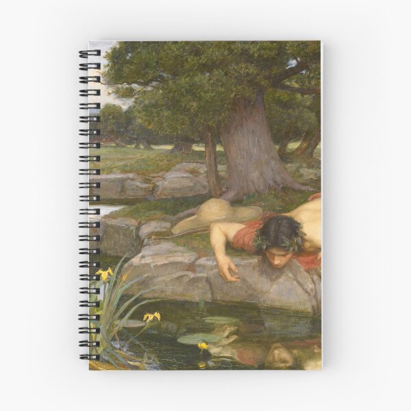 Item preview, Echo and Narcissus - Waterhouse - Ovid Metamorphoses  designed and sold by softbluehum.